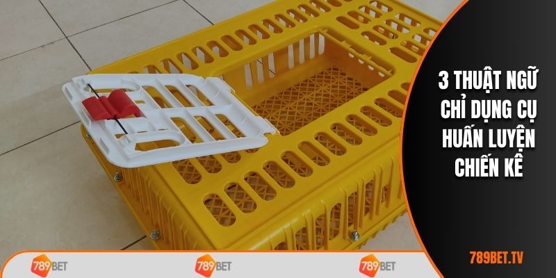 3 thuật ngữ chỉ dụng cụ huấn luyện chiến kê