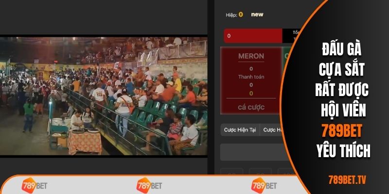 Đấu gà cựa sắt rất được hội viên 789bet yêu thích