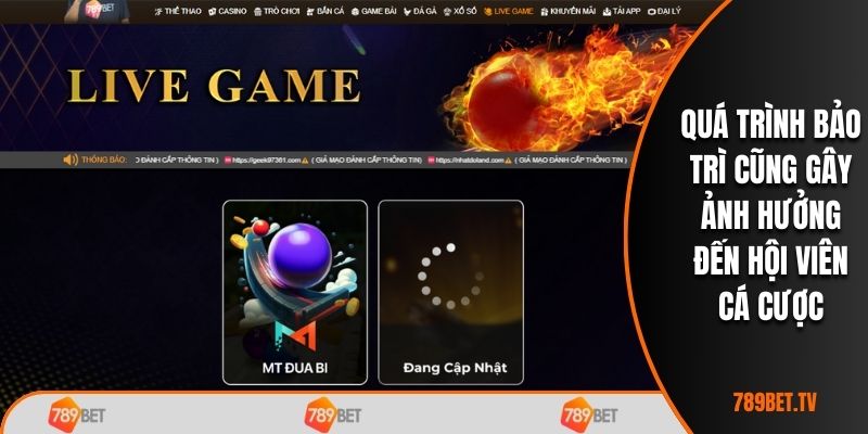 Quá trình bảo trì cũng gây ảnh hưởng đến hội viên cá cược