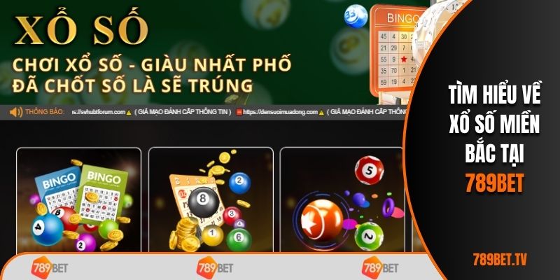 Tìm hiểu về Xổ số miền Bắc tại 789Bet