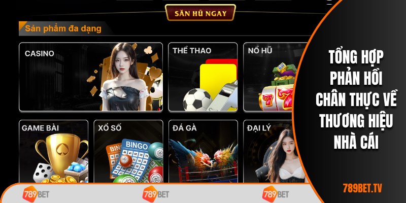 Tổng hợp phản hồi chân thực về thương hiệu nhà cái