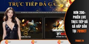 Trực tiếp đá gà