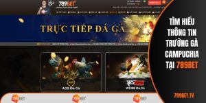 Trường gà campuchia